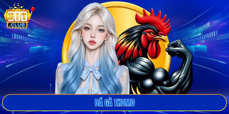 Đá gà Thomo